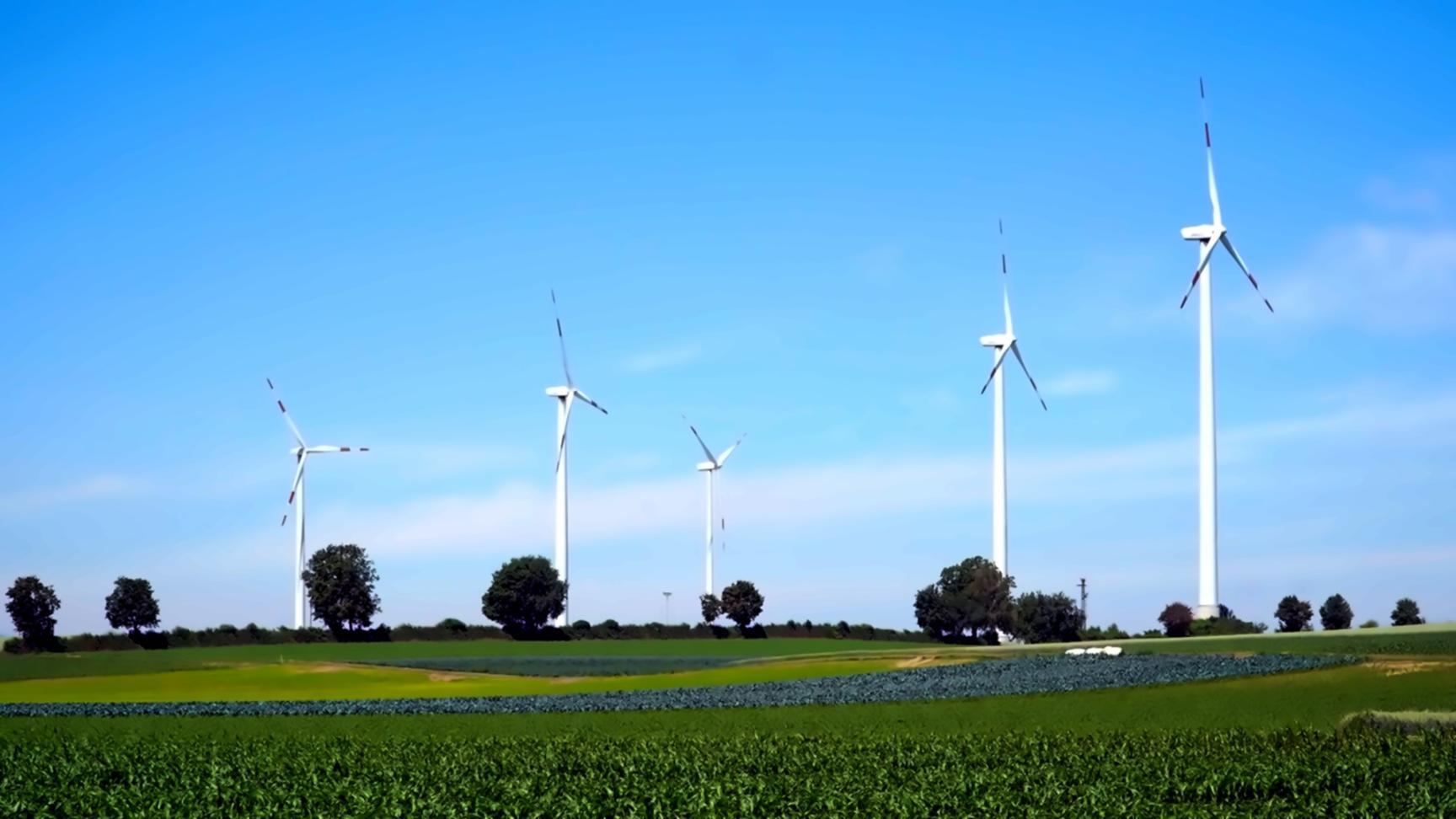 Bodenprobe-Analyse im Gelände — praktische Bodenkunde